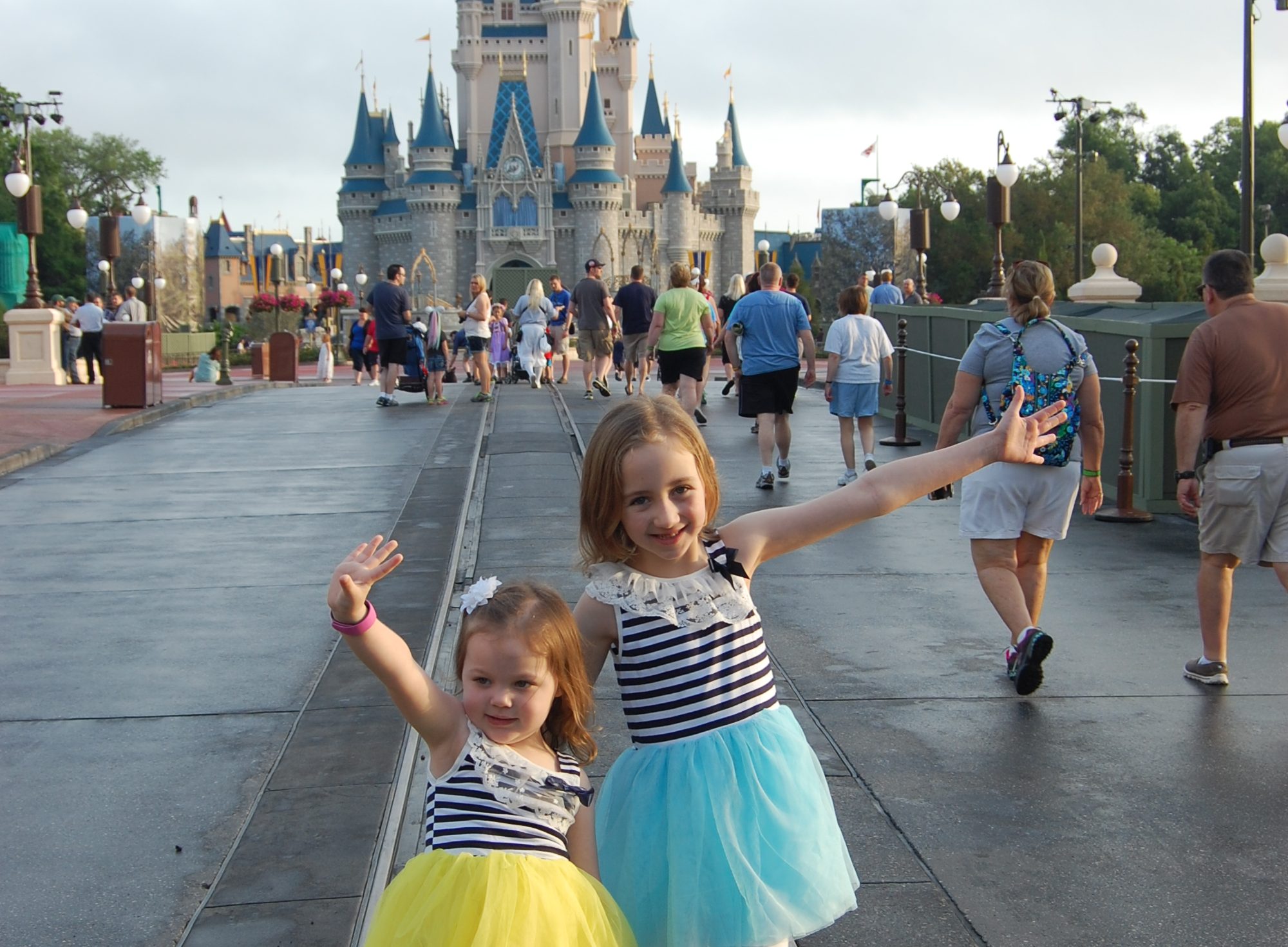 That Crazy Disney Family